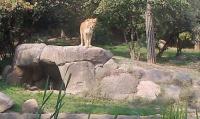 Zoobesuch des Nachbarschaftsvereins